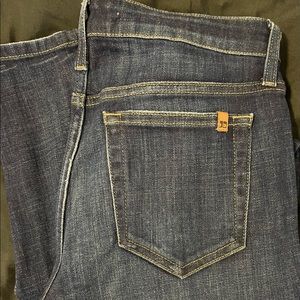 Joe’s “The Skinny” Medium Wash Skinny Jeans